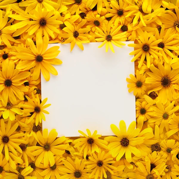 Parede Flores Amarelas Brilhantes Com Cartão Branco Branco Quadrado Para — Fotografia de Stock