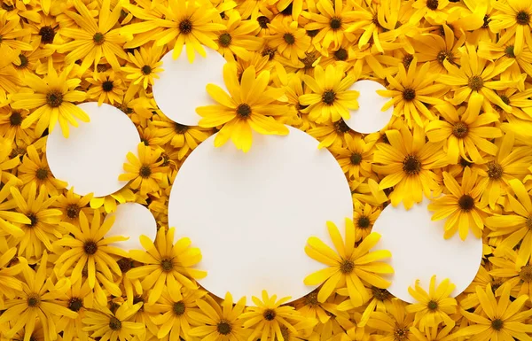 Wand Aus Leuchtend Gelben Blumen Mit Runden Leeren Weißen Karten — Stockfoto