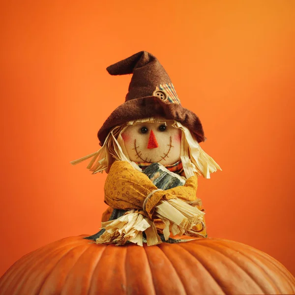 Cute Little Scarecrow Smiling Hugging Stem Large Orange Pumpkin Happy — Stock Photo, Image