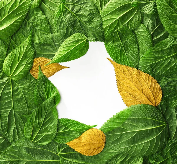 Foliage Bakgrund Med Ljusa Gröna Och Guld Växtblad Miljövänlig Eller — Stockfoto