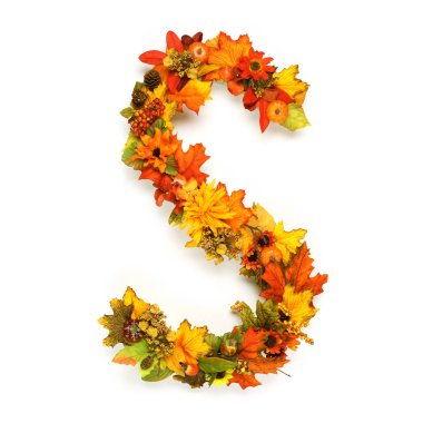 Sonbahar alfabesi ve sonbahar çiçekleri ve parlak sarı, turuncu ve kırmızı yapraklardan oluşan sayılar..