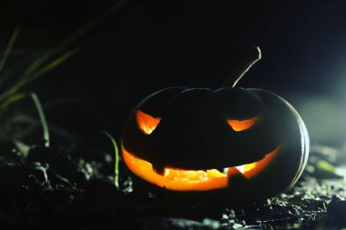 Jack o fener Cadılar Bayramı arka plan