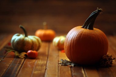 sonbahar kabaklar ve kabak 