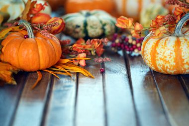 Sonbahar balkabakları ve sonbahar tatili süslemeleri ile su kabakları