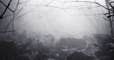 Gizemli bir sis ya da esrarengiz bir sis ile dolu ormandaki açıklık. Çıplak dalların silueti ve dumanların arasında parlayan ay ışığıyla vahşi doğa gece vakti hayaletli bir atmosfer yaratıyor..