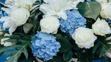 Taze çiçekler mavi ortanca ve beyaz güller. Tebrik kartı için çiçek arkaplanı