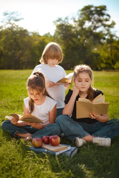 Bambini Leggono Libri Studiano Preparano Esame Test Nel Parco Gruppo — Foto Stock