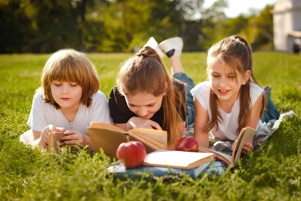 Bambini Giacevano Fila Sull Erba Verde Leggevano Libri Nel Parco — Foto Stock