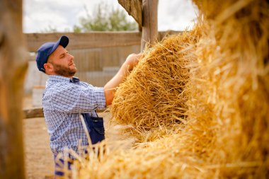 Kırsalda çalışırken saman balyası taşıyan işçi tulumu ve şapka giyen bir çiftçi.