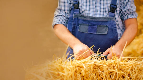 Close Fazendeiro Homem Mãos Segurando Palheiro Seco Durante Trabalho Eco — Fotografia de Stock
