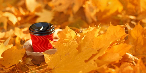 秋の公園の紅葉の中の天然コーヒーの赤い紙コップ背景 — ストック写真