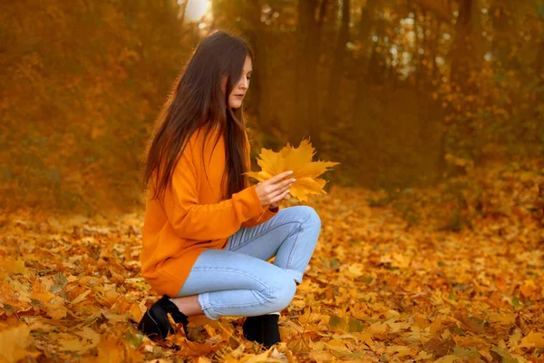 自然の中で休息と回復を求める 秋の花束の葉を探している女性 — ストック写真