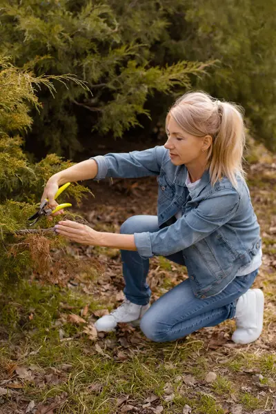 Toplum bahçesinde çalılarla ilgilenen olgun bir kadın.