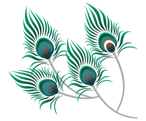 Soyut Sanatsal Yaratıcı Renkli Tavus Kuşu Tüyleri Vektör Illüstrasyonu — Stok Vektör
