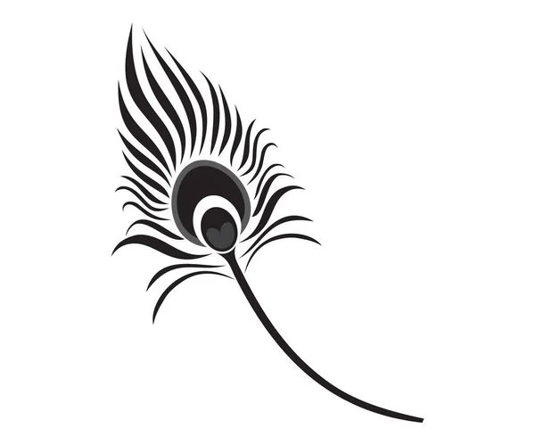 創造的な孔雀の羽のベクトル図 — ストックベクタ