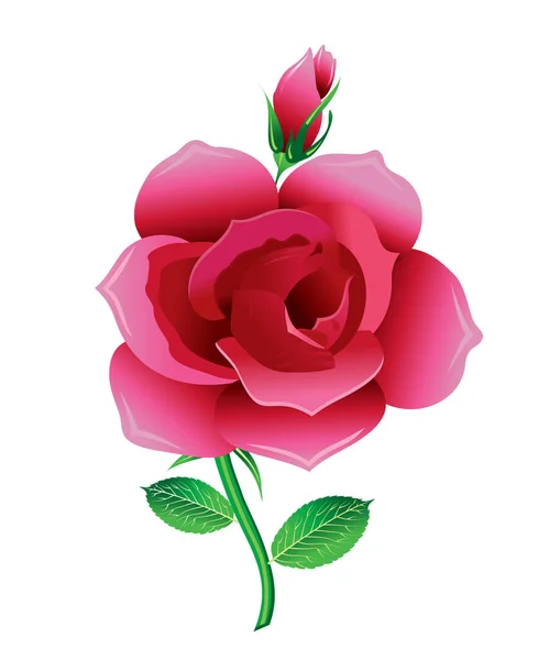 Illustration Créative Artistique Détaillée Vecteur Rose Rouge — Image vectorielle