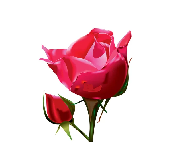 Καλλιτεχνική Δημιουργική Απεικόνιση Διάνυσμα Κόκκινο Τριαντάφυλλο — Διανυσματικό Αρχείο