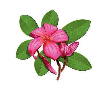 soyut sanatsal yaratıcı detaylı kırmızı çiçek vektörü çizimi