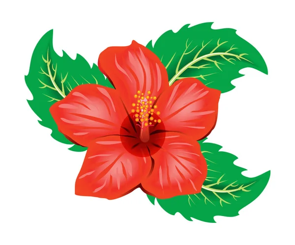 Αφηρημένη Καλλιτεχνική Δημιουργική Λεπτομερή Απεικόνιση Φορέα Κόκκινο Λουλούδι Hibicus — Διανυσματικό Αρχείο