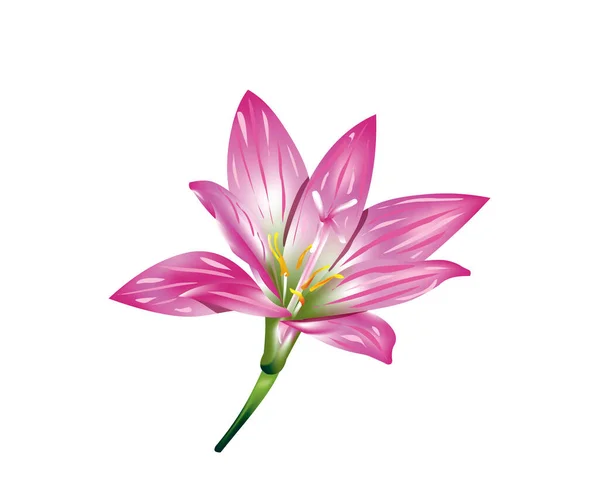 Абстрактна Художня Творча Деталізована Квітка Дощу Лілія Векторні Ілюстрації — стоковий вектор