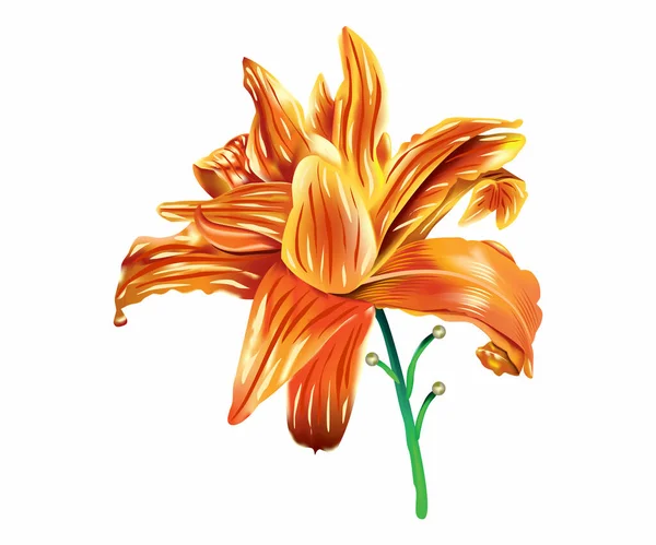 Αφηρημένη Καλλιτεχνική Δημιουργική Πορτοκαλί Λουλούδι Διάνυσμα Εικονογράφηση — Διανυσματικό Αρχείο