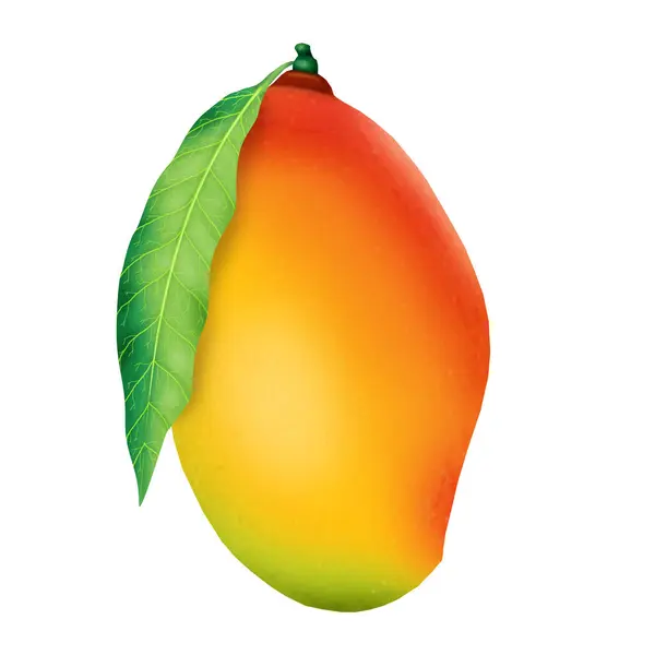 Yaprak Resimli Sanatsal Ayrıntılı Mango Meyvesi — Stok fotoğraf