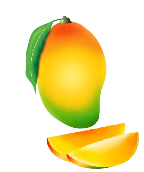 Artistic Creative Detailed Mango Fruit Slices — Stock Photo, Image