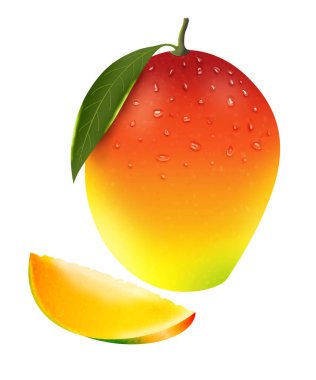 sanatsal yaratıcı ayrıntılı mango illüstrasyonu