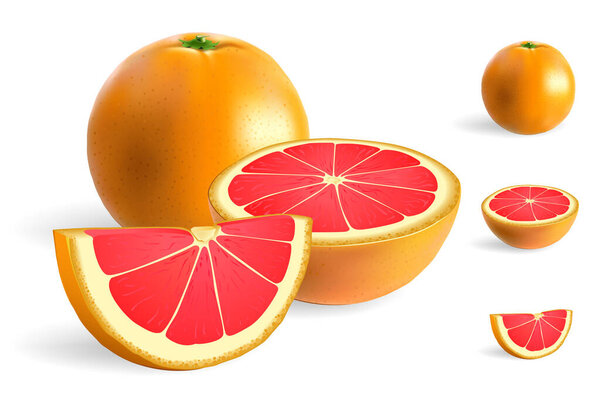 Whole, half and slice of pink grapefruit isolated on white vector illustration.