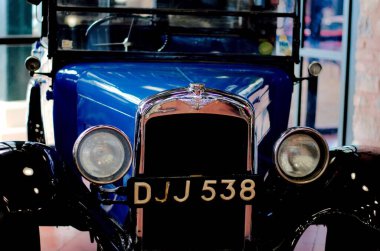 Balıkçı Kuşları yüzüyor, Çanakkale, Türkiye