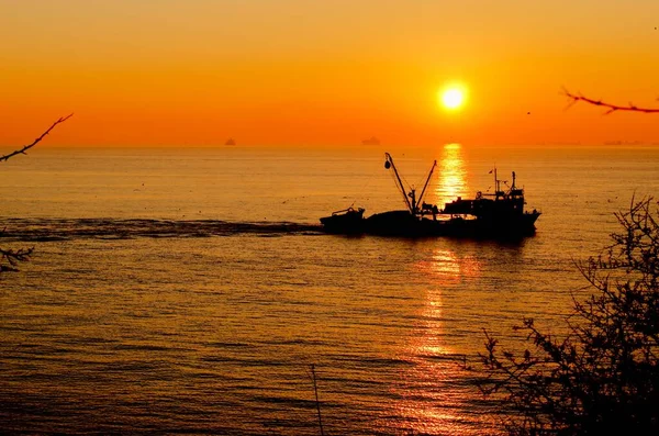 Balık teknesi ve Günbatımı İstanbul Boğazı