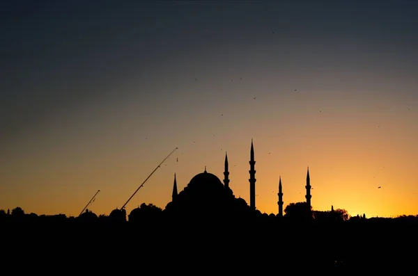 Krásná Mešita Krocana Istanbul — Stock fotografie