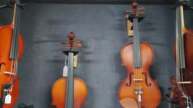 Müzik dükkanında klasik ahşap kemanlar. Yüksek kalite 4k görüntü