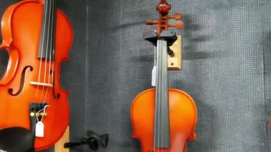 Müzik dükkanında klasik ahşap kemanlar. Yüksek kalite 4k görüntü