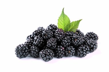 Beyaz arkaplanda izole edilmiş taze böğürtlen