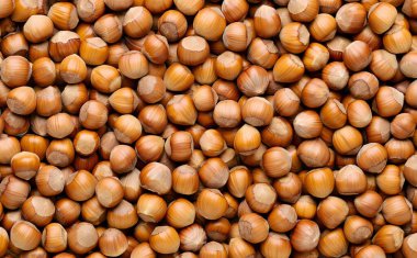 Fındık fıstığı. Tam çerçeve arkaplanı.