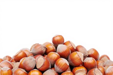 Beyaz bir sırtüstü fındık yığını