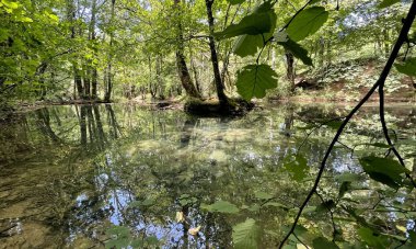 Şelalede su sıkıntısı var. Jura Fransa 'da çeşitli havzalar var.