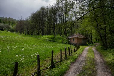 Ormandaki eski değirmen, ahşap ve tuğladan yapılmış.