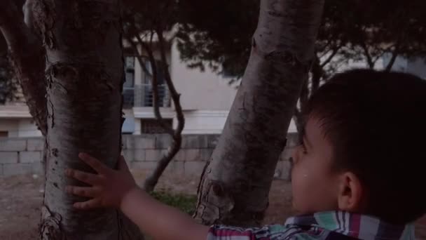 Portret Uroczego Malucha Trzymającego Drzewo Parku Połączenie Koncepcją Natury Wysokiej — Wideo stockowe
