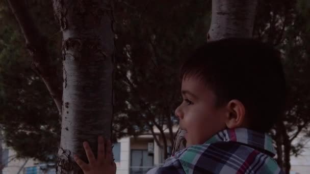 Parkta Ağaç Tutan Şirin Bir Çocuğun Portresi Bir Doğa Kavramı — Stok video