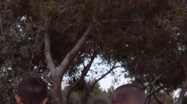Çocuklar sonbaharda ağaçlarla parkta oynuyorlar. Doğayı keşfeden iki kardeş. Yüksek kaliteli FullHD görüntüler