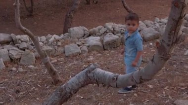 Çocuklar sonbaharda parkta oynarlar, küçük kardeşi uzaklaşırken, Toddler ağacı sallar. Yüksek kaliteli FullHD görüntüler