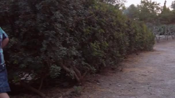 Παιδί Τρέχει Γύρω Από Θάμνους Στο Πάρκο Ακολούθησε Αργή Κίνηση — Αρχείο Βίντεο
