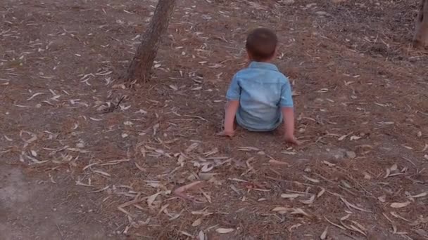 Parkta Kuru Çimlerin Üzerinde Oturan Sevimli Anaokulu Çocuğu Broter Yaklaştığında — Stok video