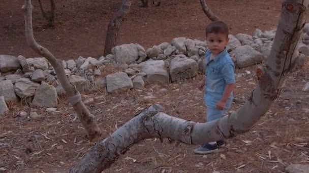 Kinder Spielen Herbst Park Kleinkind Schüttelt Den Baum Während Sein — Stockvideo