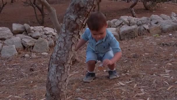 Children Playing Nature Toddler Lifts Throws Rock High Quality Fullhd — Stok video
