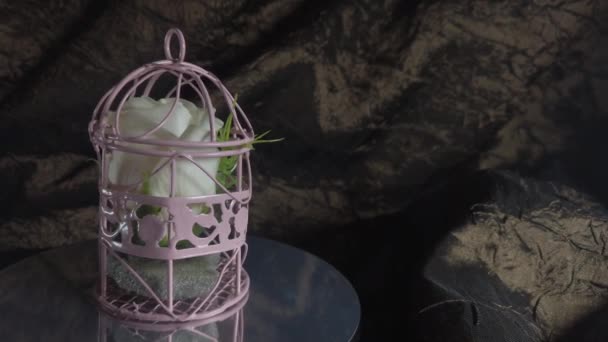 Häusliche Gewalt Weiße Rose Vogelkäfig Der Sich Auf Dem Spiegel — Stockvideo