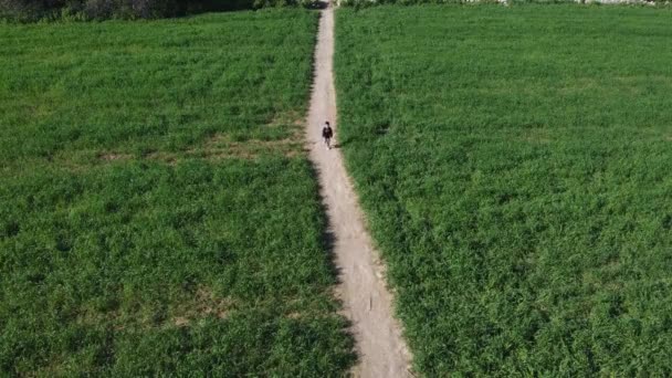 Дошкольник Мальчик Бежит Пыльной Дорожке Зеленому Полю Вид Воздуха Высококачественные — стоковое видео