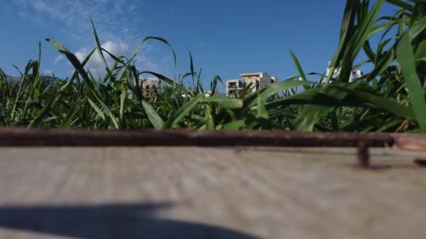 Qawra Malta 2023 Qawra Fields Primary School Surrounding Buildings Drone — Vídeo de Stock